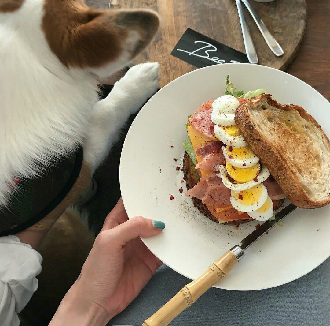 Открытки с обедом