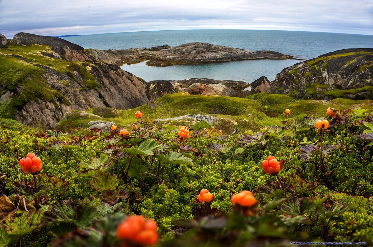 Мурманский берег Кольского полуострова
