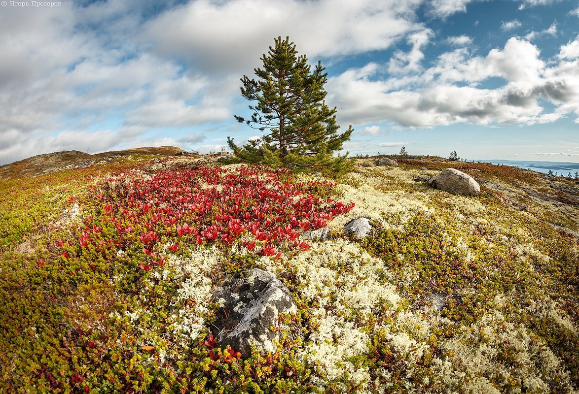 Кольский полуостров осенью