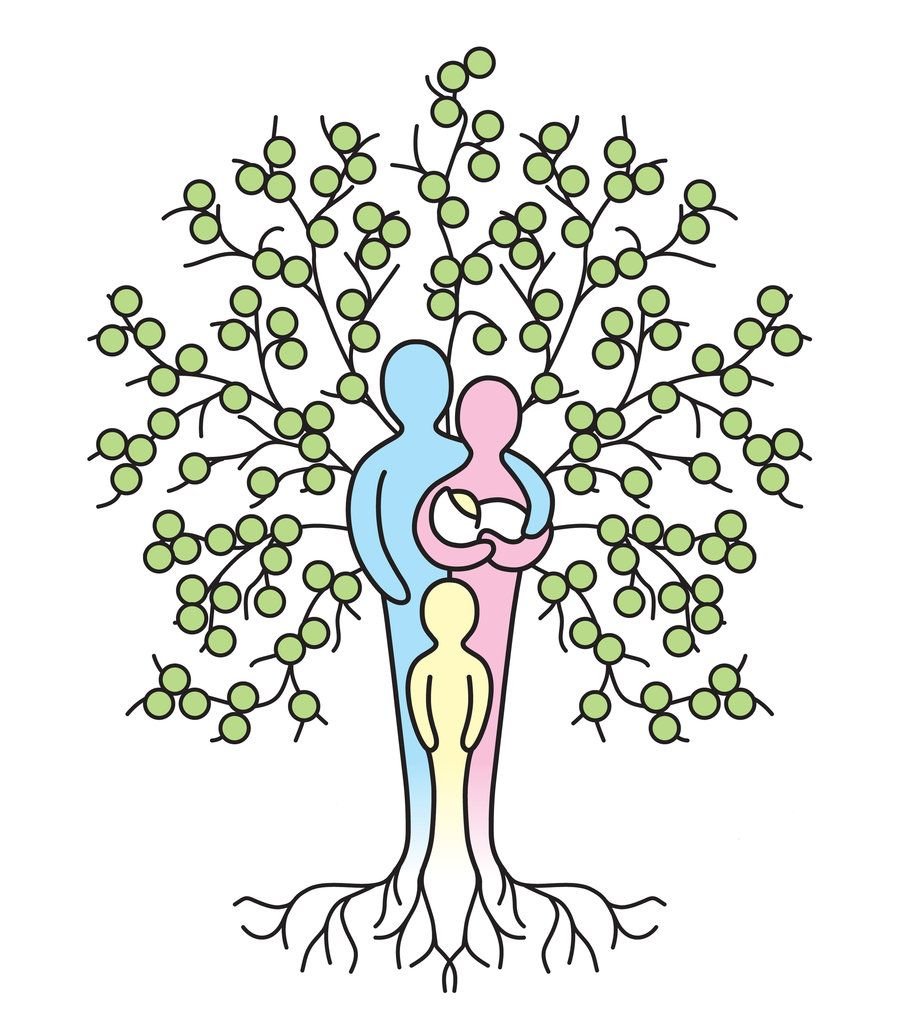 Самая красивая род. Генеалогическое дерево рисунок. Семейное дерево рисунок. Дерево жизни. Дерево жизни рисунок.