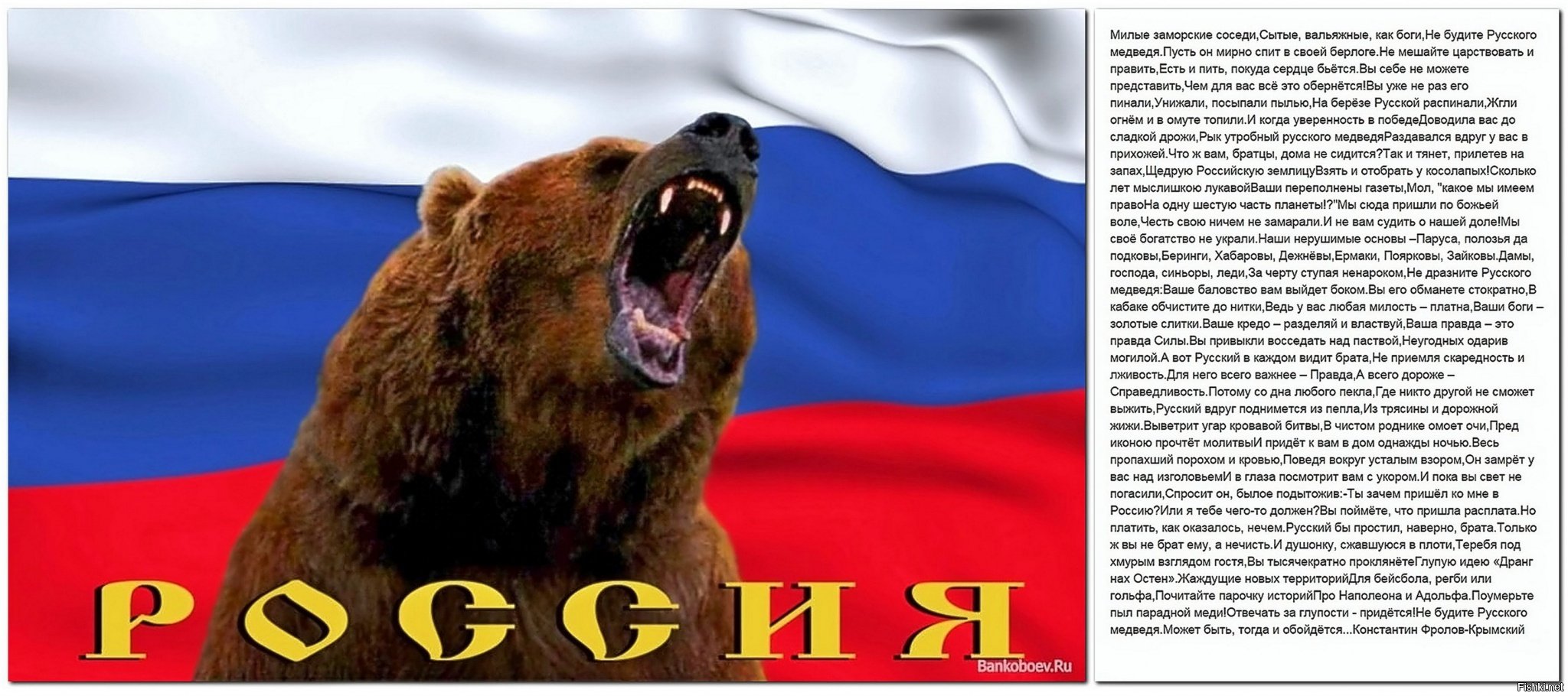 Русский медведь обои