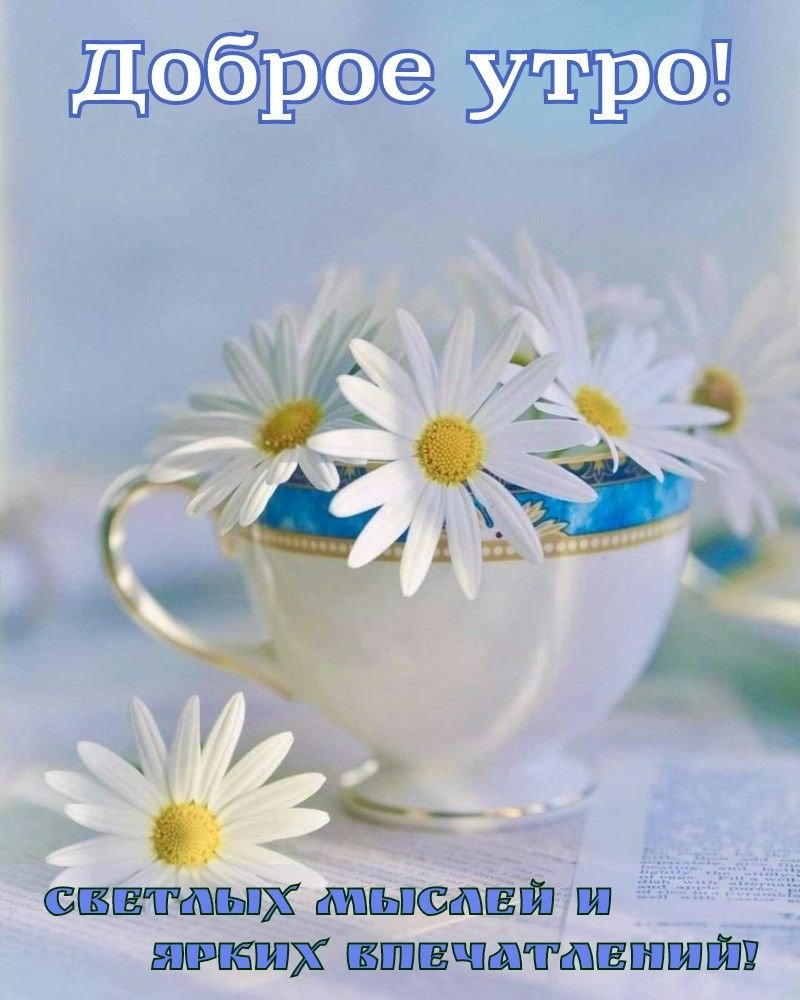 Доброго светлого утра