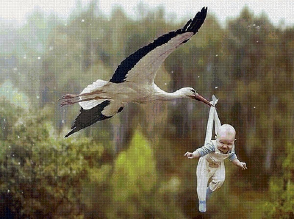 Аист приносит ребенка