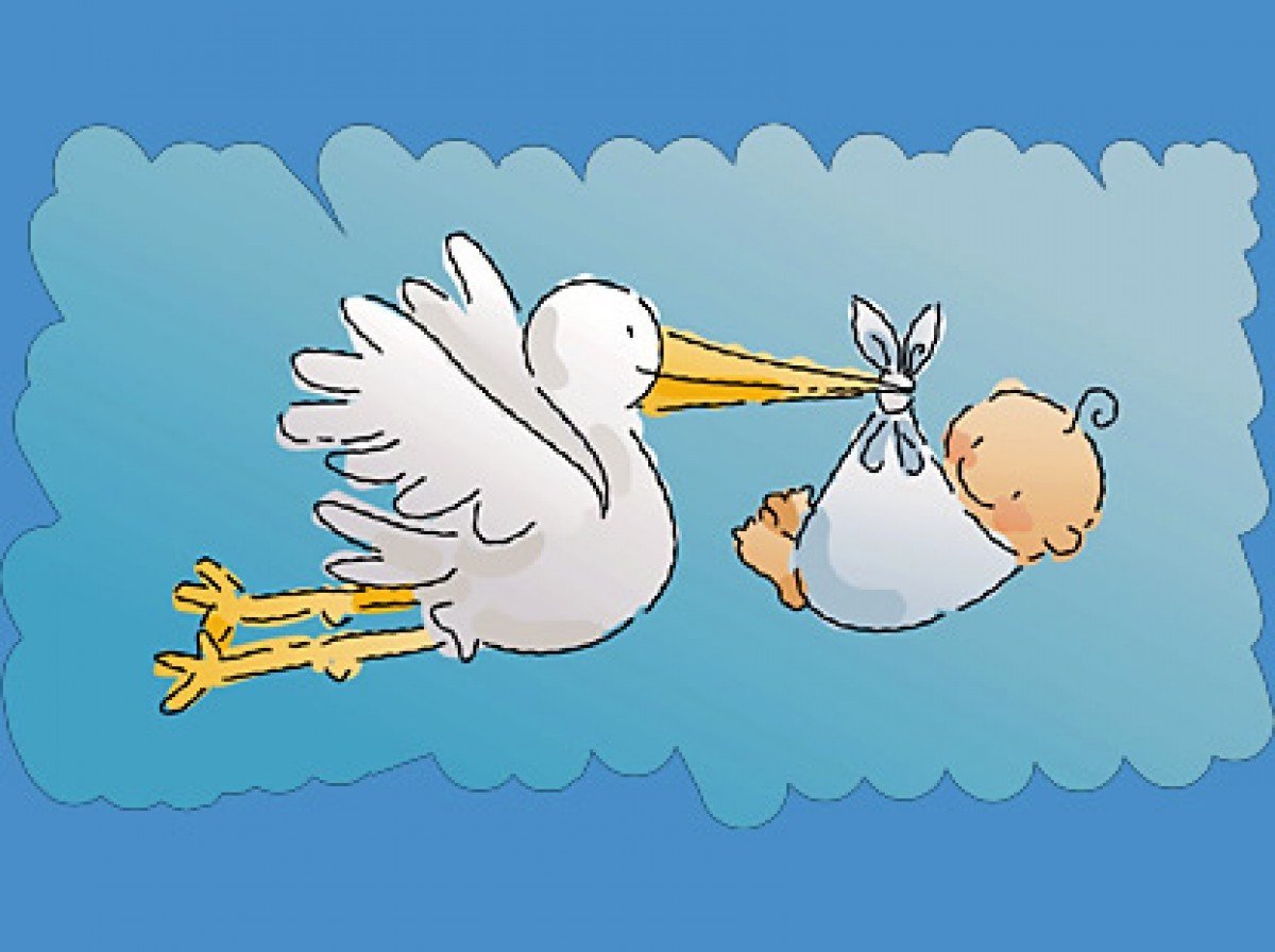 У нас прибавление в семье