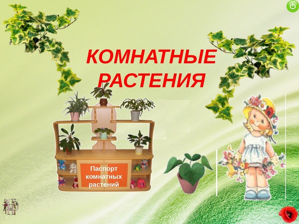 Растение в горшке линия