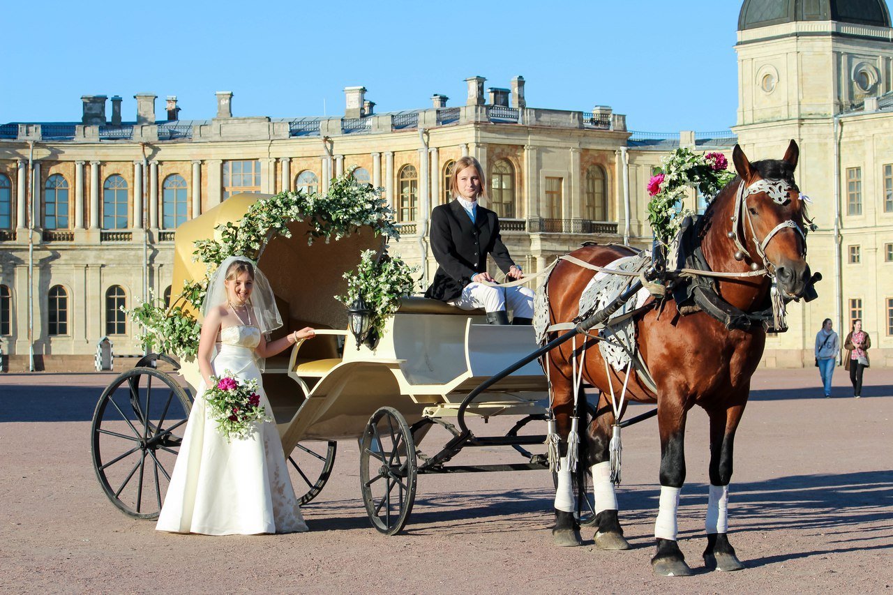 Самая популярная традиция. Свадебная карета. Невеста в карете. Свадебная повозка с лошадьми. Жених и невеста в карете.