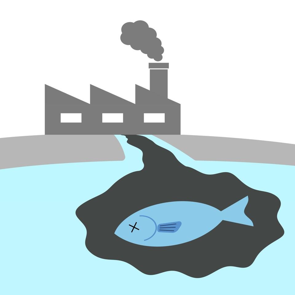 Модель источники загрязнения воды 3 класс из пластилина