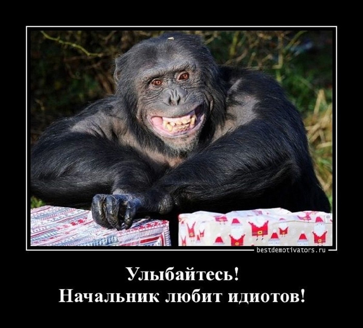 Приколы про начальника
