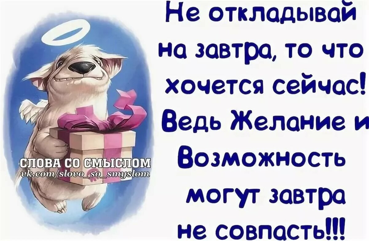 Цитаты со смыслом прикольные и смешные