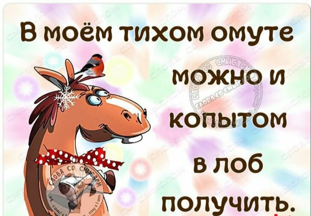 Веселые статусы