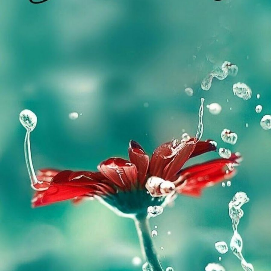 Мир души картинки доброе утро