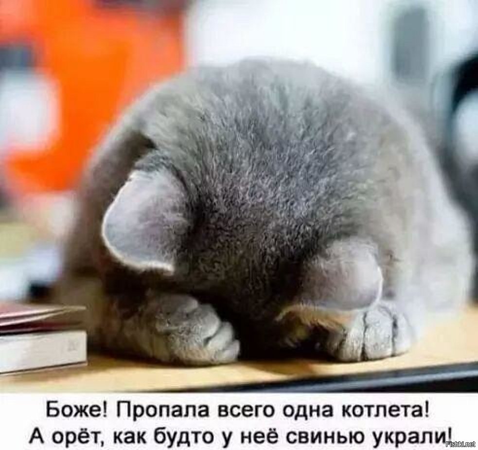 Хочу домой с работы