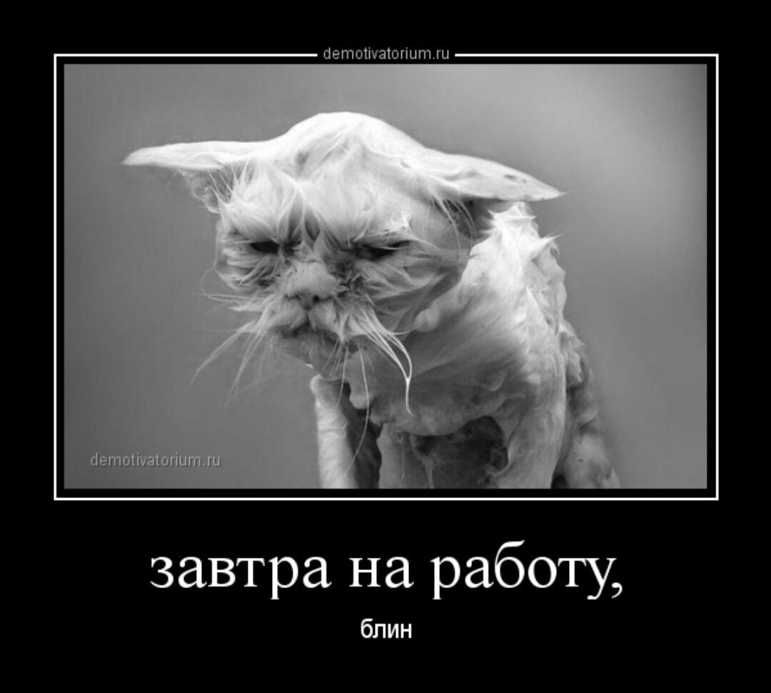 Завтра на работу картинки