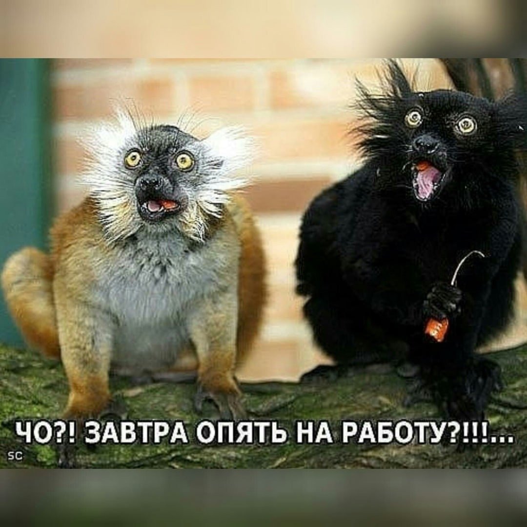 Завтра опять на работу