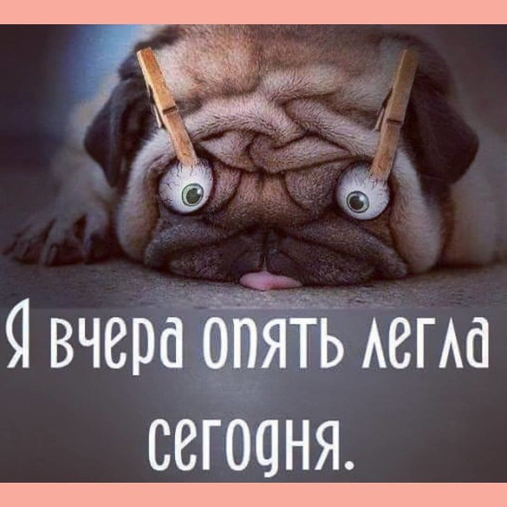 Сонное утро приколы