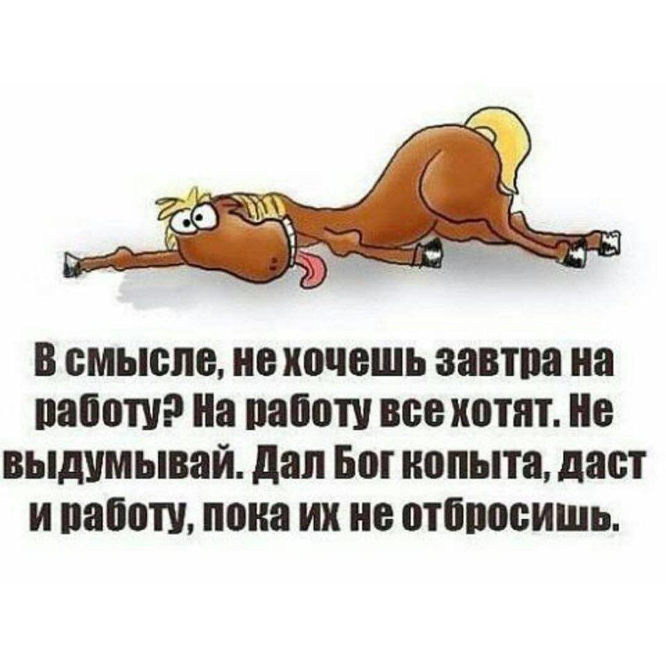 Смешные статусы про работу