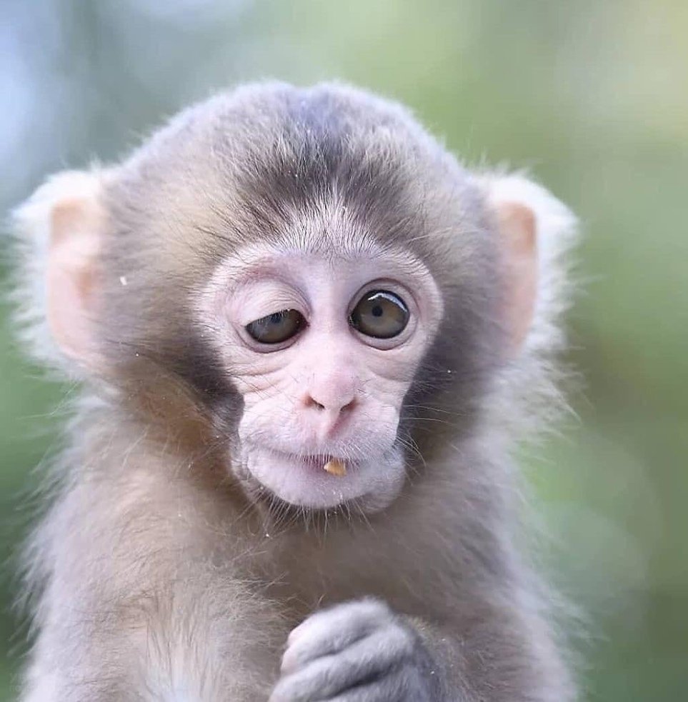 Завтра опять на работу