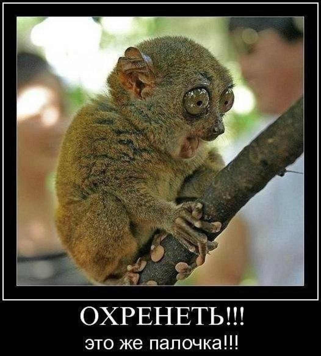 Прикольные картинки охренеть
