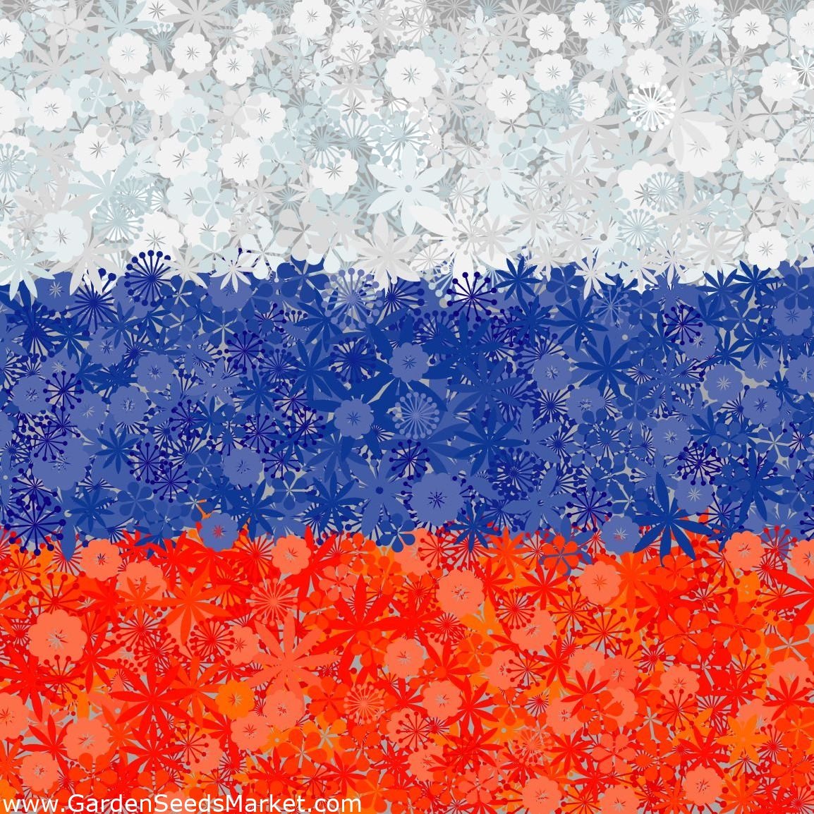 Триколор из цветов