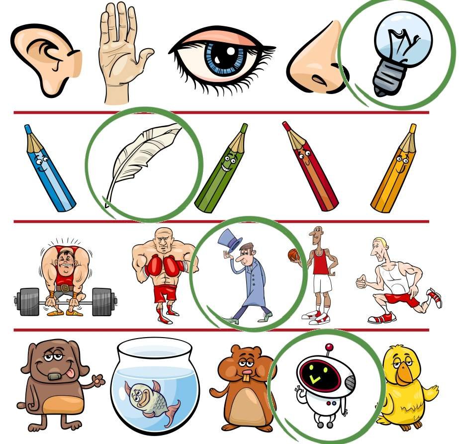 Найди лишнее