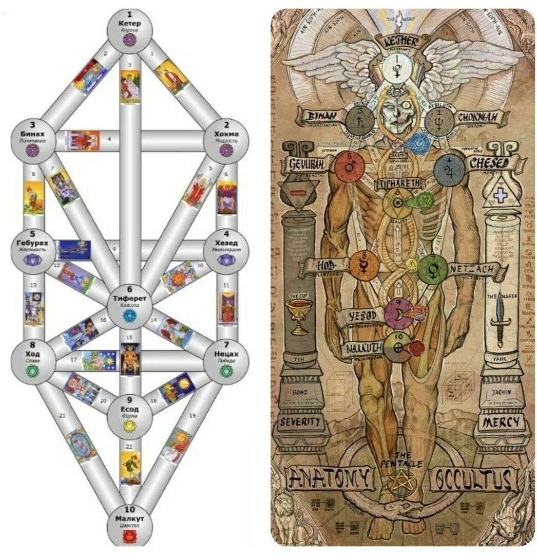 Древо Сефирот и чакры