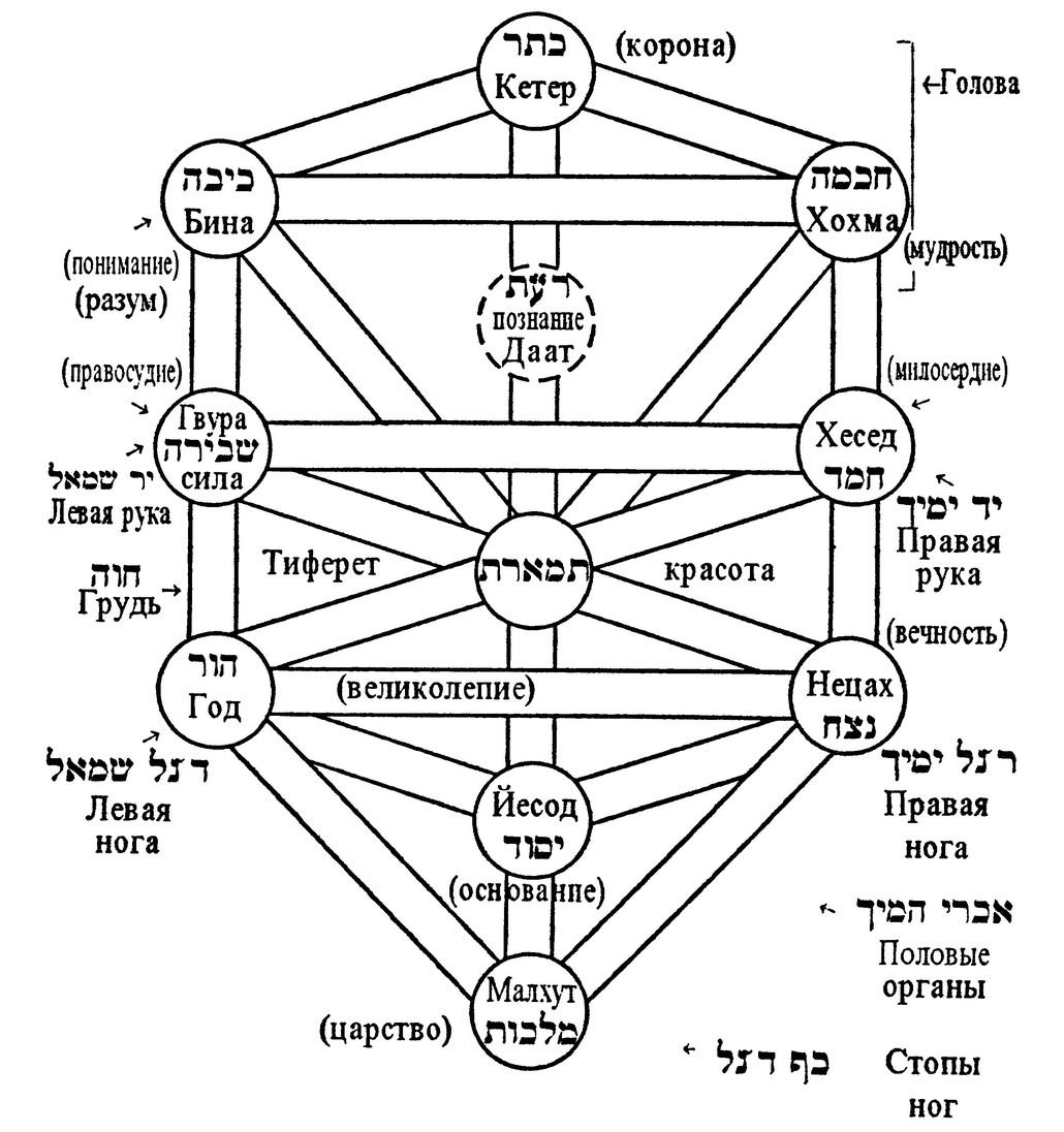 Цветок жизни и дерево Сефирот