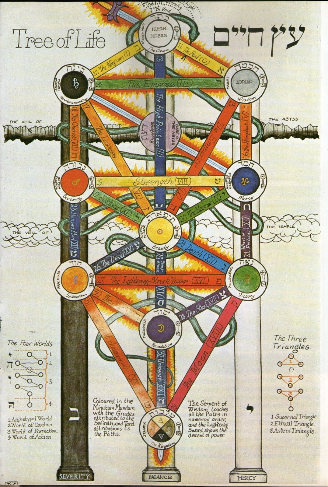 Древо клипот планеты