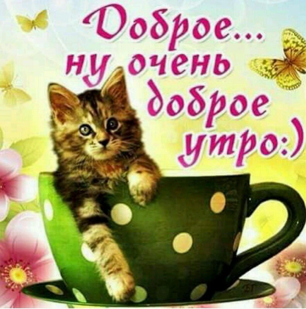 Очень красивые открытки с добрым утром