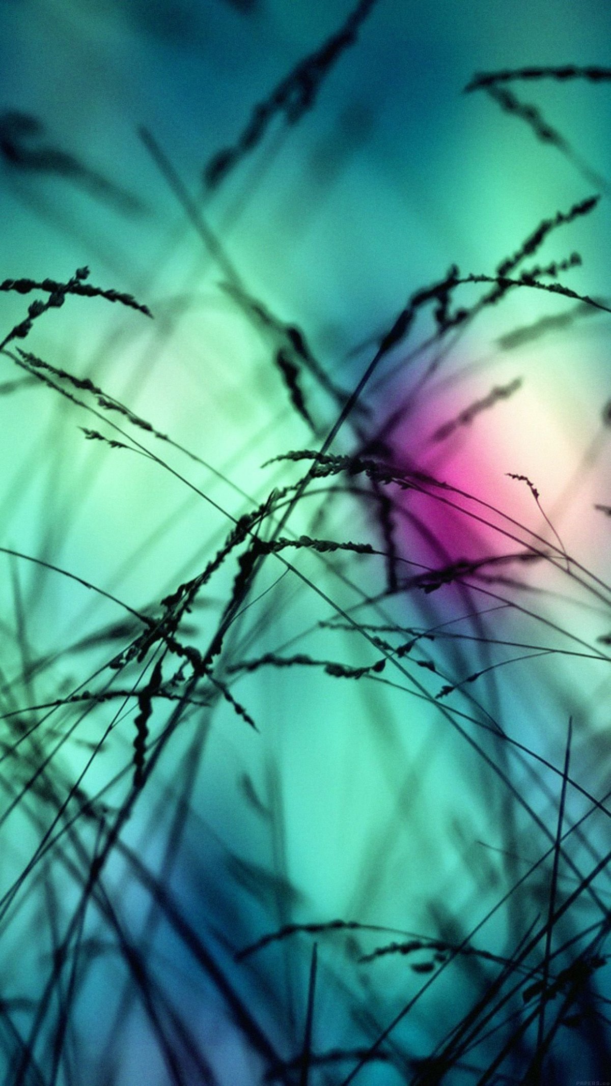 Рабочий стол смартфона