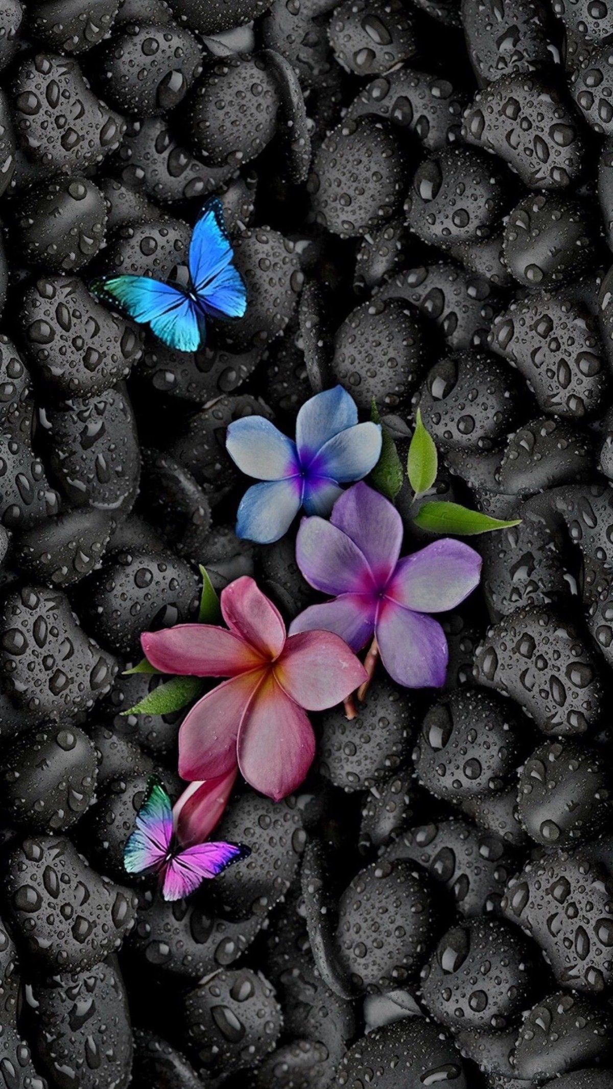 Картинки популярные вертикальные