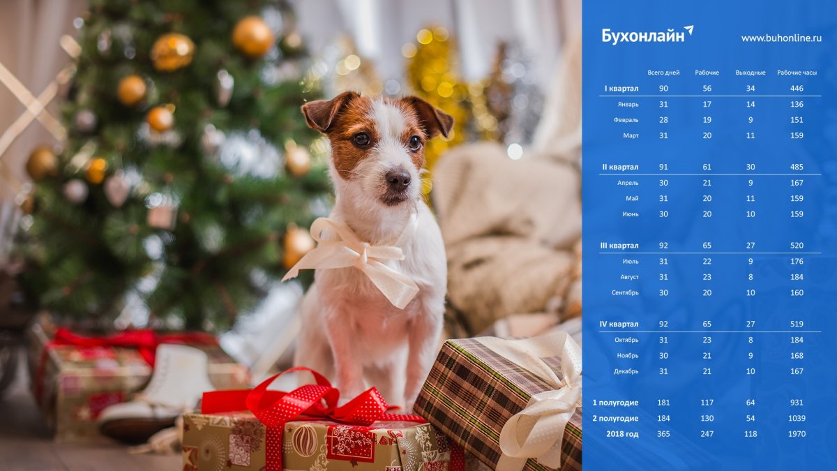 Заставка на рабочий стол бухгалтера