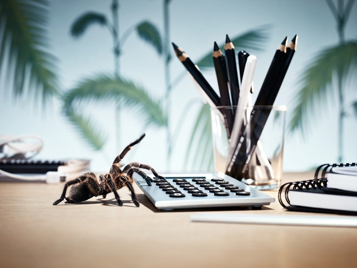 Стол бухгалтера