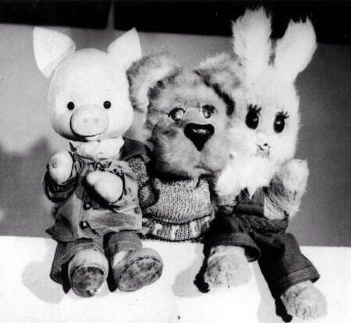 Спокойной ночи малыши 2017