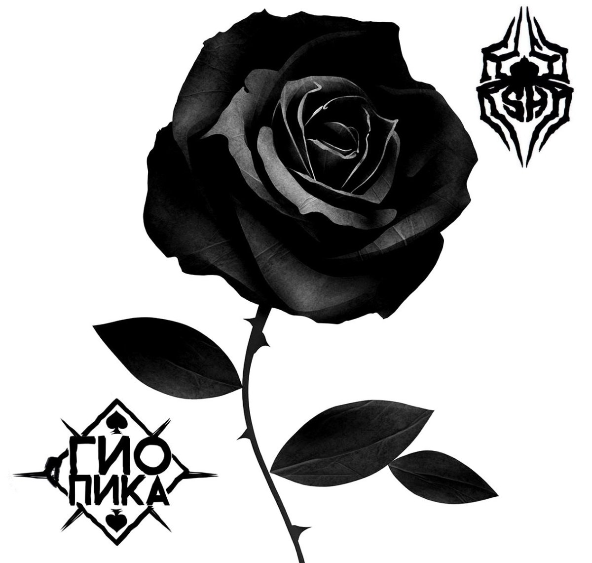 Гио пика Сыктывкар