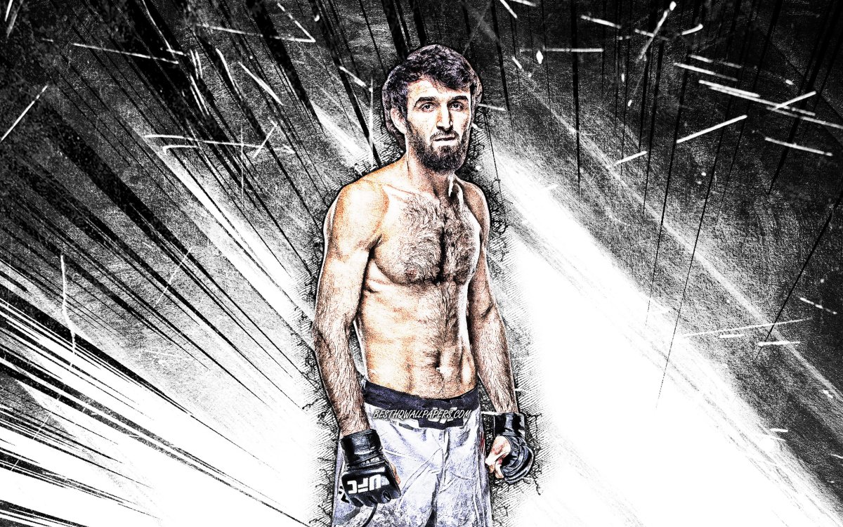 Забит Магомедшарипов арт