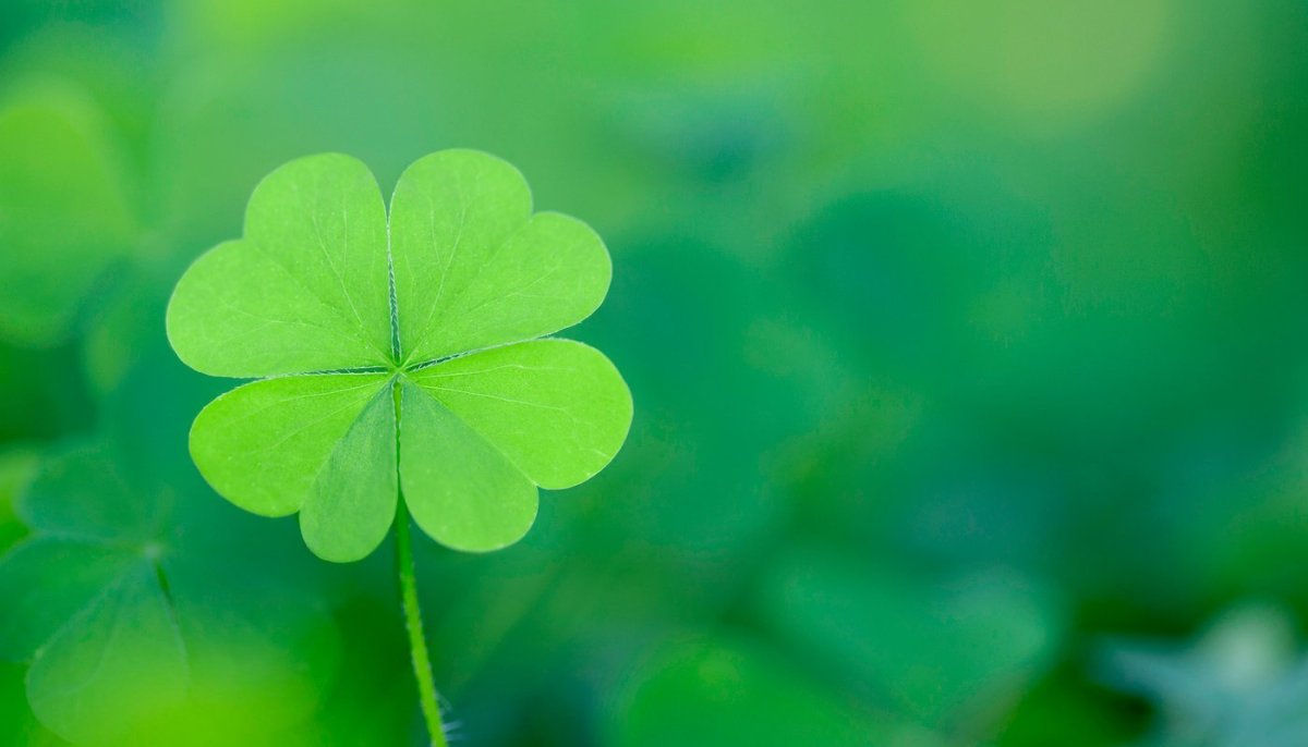 Обои на телефон высокого качества вертикальные зеленые