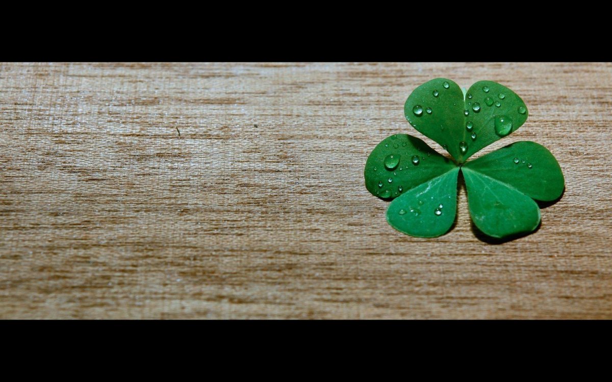Ирландский Клевер четырехлистный