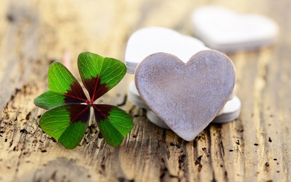 Клевер четырехлистный good luck