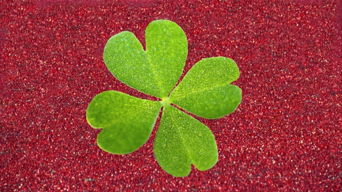 Клевер четырехлистный подкова и Божья коровка