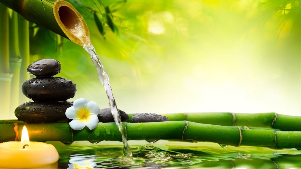 Лотос картина фен шуй