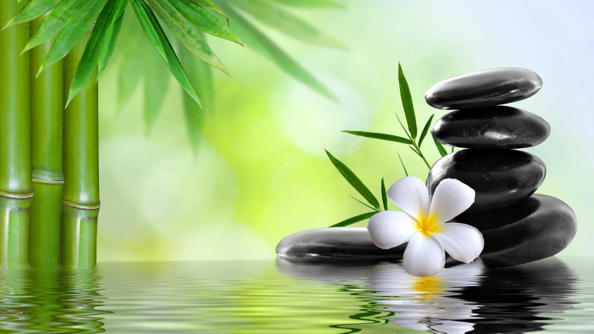 Богатство по фэншую