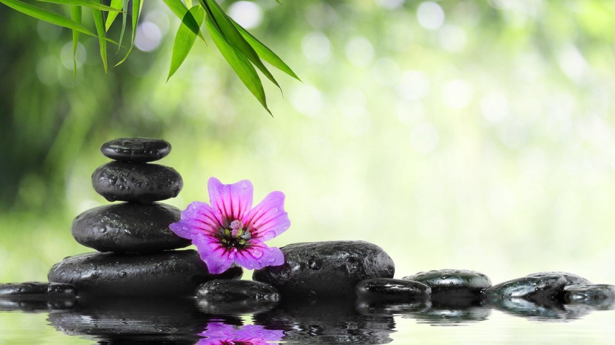 Привлечение денег