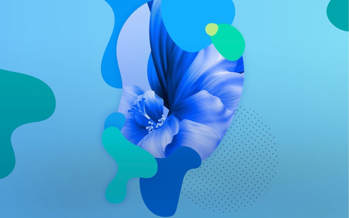 Обои хонор Мэджик 4