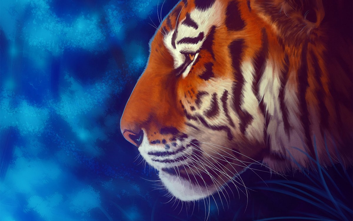 Тигр на заставку