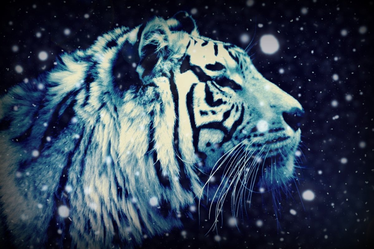 Новогодний тигр