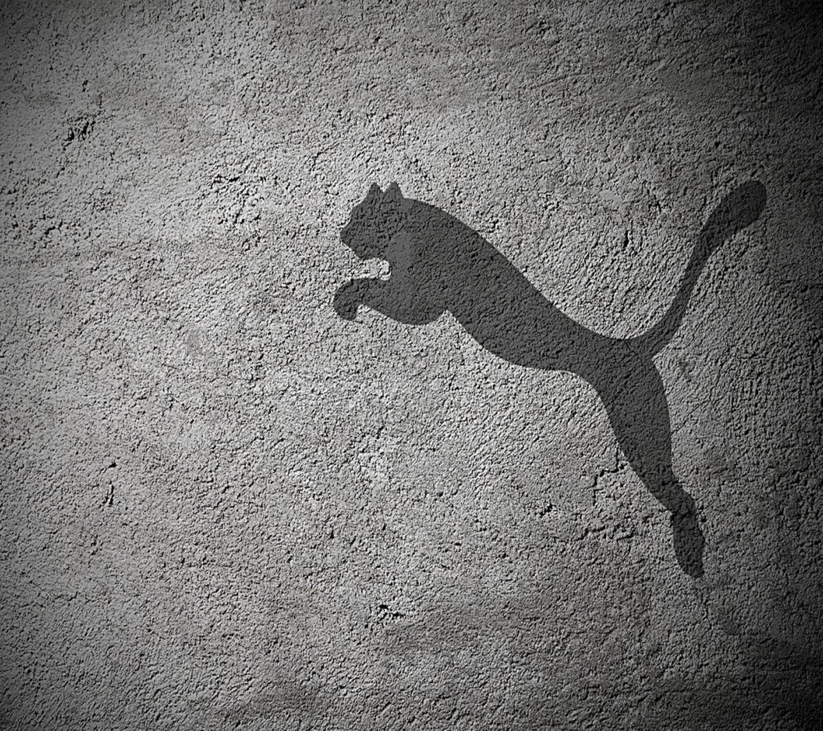 Снежная Пума