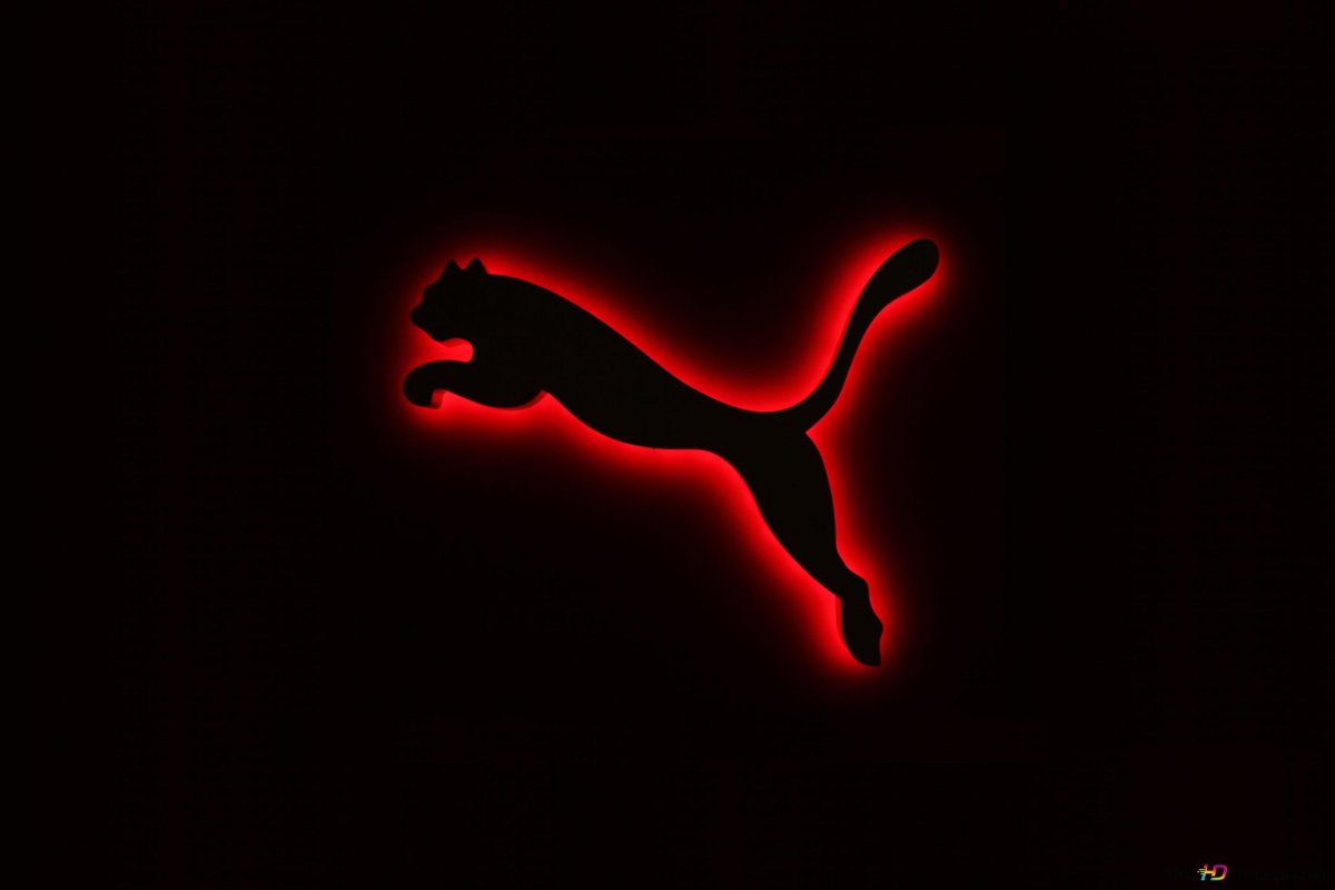 Крутые обои Пума