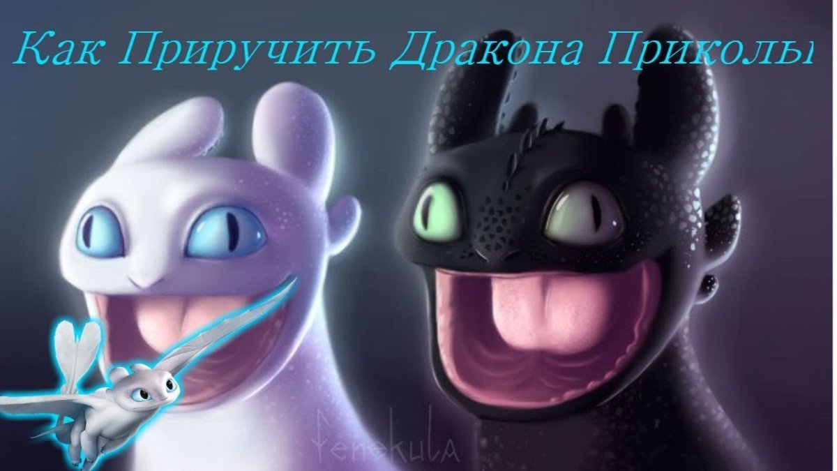 Беззубик и дневная фурия приколы