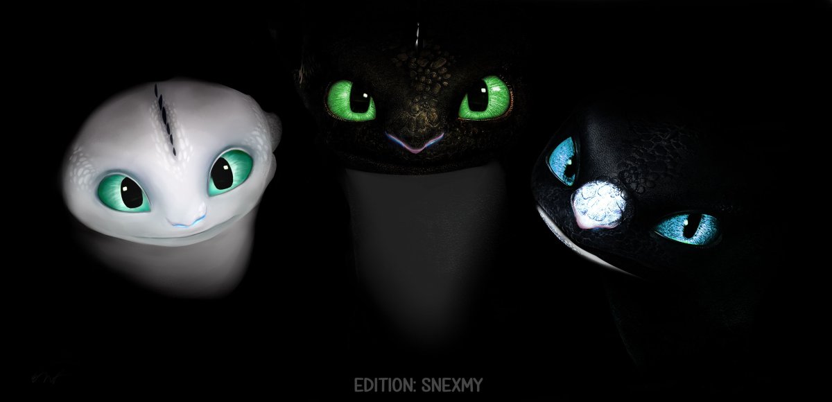 Как приручить дракона 3 дети Беззубика и дневной фурии ночные сияние