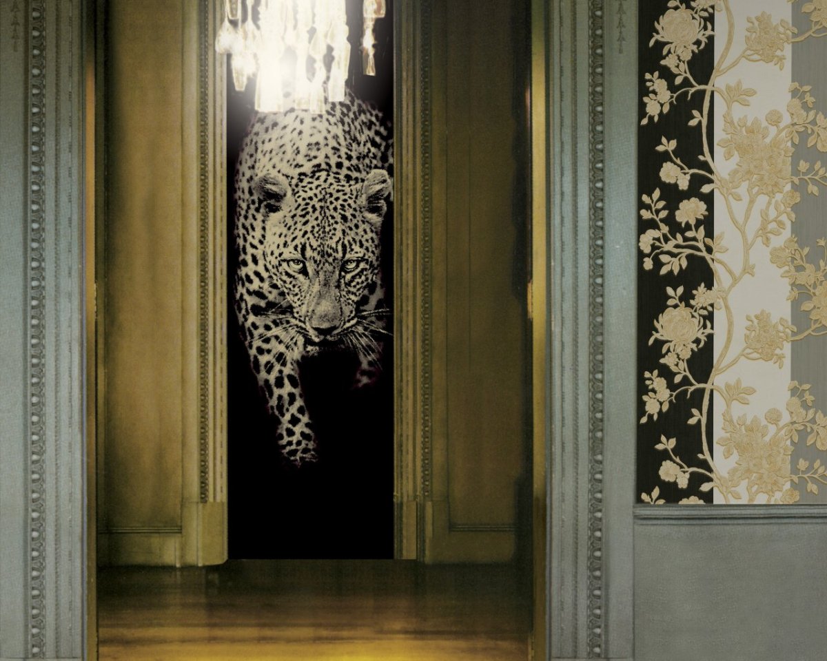 Роберто Кавалли интерьер леопард